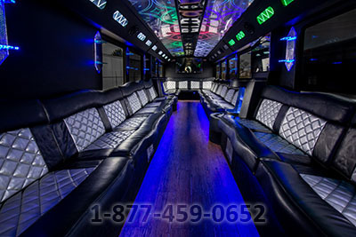 Party Bus: 45-50 Passengers